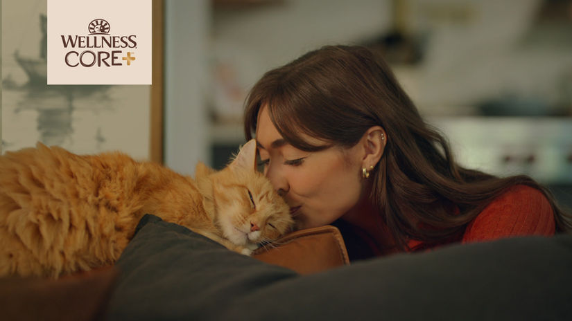 Wellness Core's Cat Edition